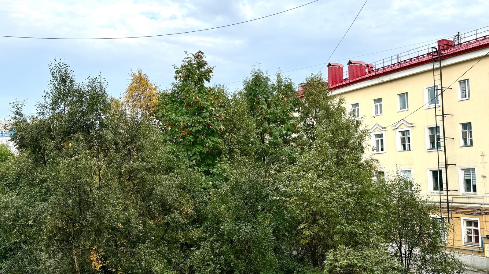 VIP FLAT в центре города